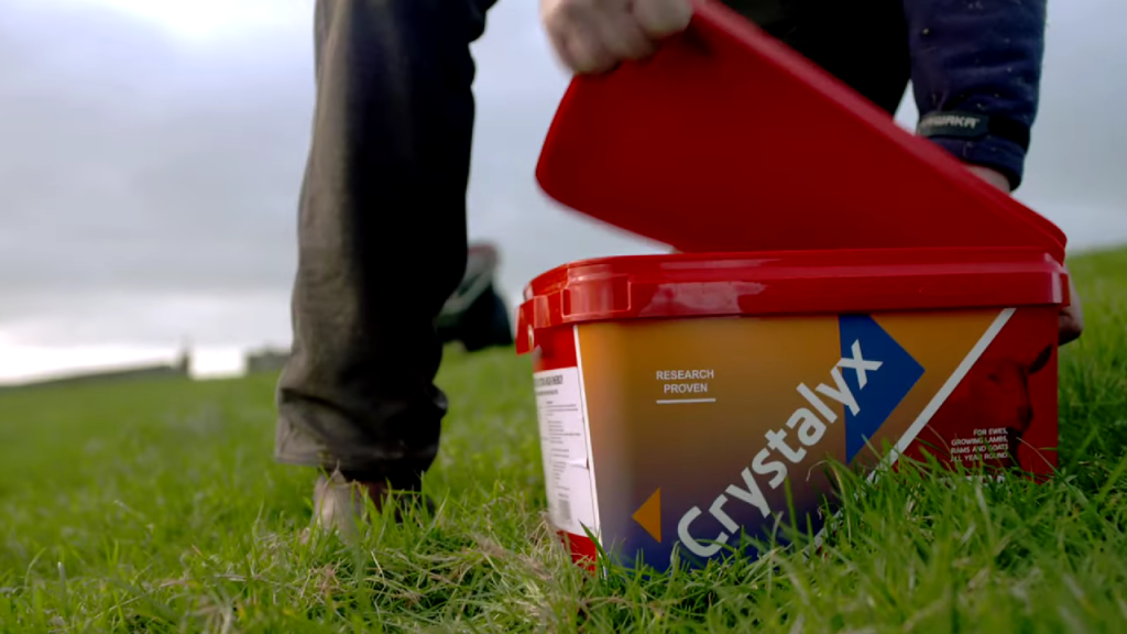 feed lick mineral block