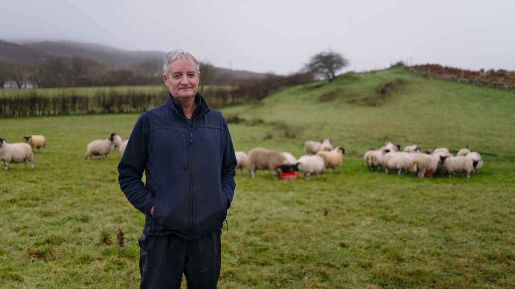 Gerard Breslin standing in a field with his flock